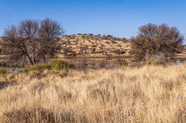 Kurak mevsimde orta Namibya 'nın çorak arazisi. Namibya, Güney Afrika 'nın batı kıyısında bir ülkedir..