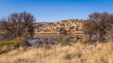 Kurak mevsimde orta Namibya 'nın çorak arazisi. Namibya, Güney Afrika 'nın batı kıyısında bir ülkedir..