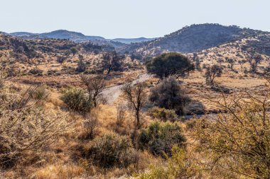 Kurak mevsimde orta Namibya 'nın çorak arazisi. Namibya, Güney Afrika 'nın batı kıyısında bir ülkedir..