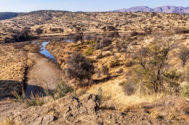 Kurak mevsimde orta Namibya 'nın çorak arazisi. Namibya, Güney Afrika 'nın batı kıyısında bir ülkedir..