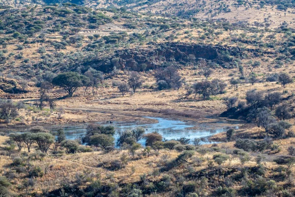 Kurak mevsimde orta Namibya 'nın çorak arazisi. Namibya, Güney Afrika 'nın batı kıyısında bir ülkedir..