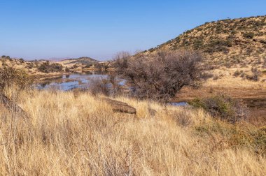 Kurak mevsimde orta Namibya 'nın çorak arazisi. Namibya, Güney Afrika 'nın batı kıyısında bir ülkedir..