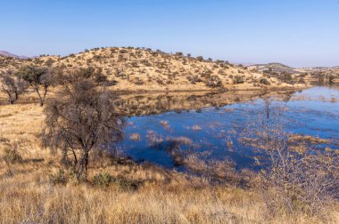 Kurak mevsimde orta Namibya 'nın çorak arazisi. Namibya, Güney Afrika 'nın batı kıyısında bir ülkedir..