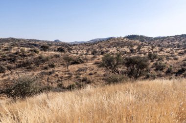 Kurak mevsimde orta Namibya 'nın çorak arazisi. Namibya, Güney Afrika 'nın batı kıyısında bir ülkedir..