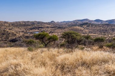 Kurak mevsimde orta Namibya 'nın çorak arazisi. Namibya, Güney Afrika 'nın batı kıyısında bir ülkedir..