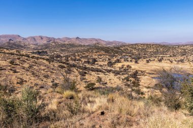 Kurak mevsimde orta Namibya 'nın çorak arazisi. Namibya, Güney Afrika 'nın batı kıyısında bir ülkedir..