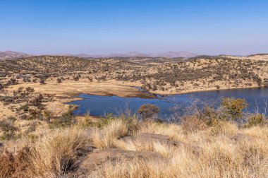 Kurak mevsimde orta Namibya 'nın çorak arazisi. Namibya, Güney Afrika 'nın batı kıyısında bir ülkedir..
