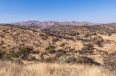 Kurak mevsimde orta Namibya 'nın çorak arazisi. Namibya, Güney Afrika 'nın batı kıyısında bir ülkedir..