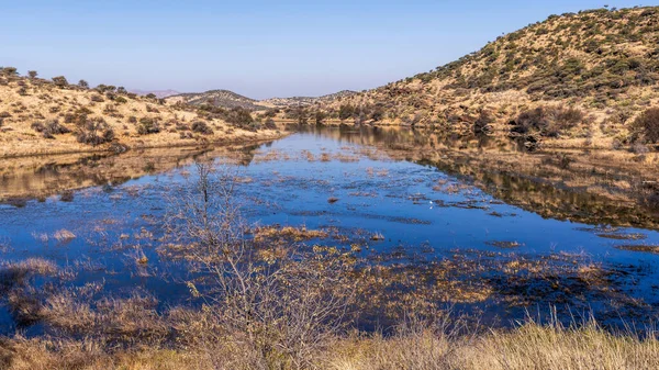 Kurak mevsimde orta Namibya 'nın çorak arazisi. Namibya, Güney Afrika 'nın batı kıyısında bir ülkedir..