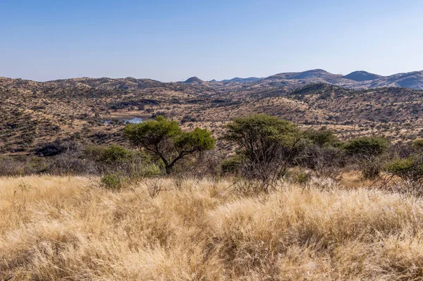 Kurak mevsimde orta Namibya 'nın çorak arazisi. Namibya, Güney Afrika 'nın batı kıyısında bir ülkedir..