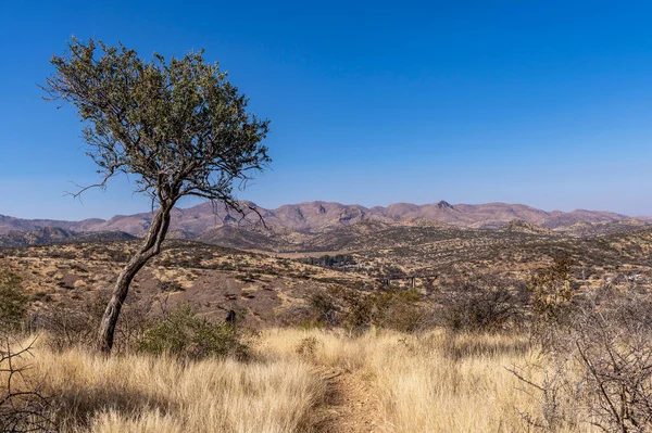 Kurak mevsimde orta Namibya 'nın çorak arazisi. Namibya, Güney Afrika 'nın batı kıyısında bir ülkedir..