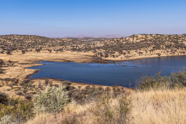 Kurak mevsimde orta Namibya 'nın çorak arazisi. Namibya, Güney Afrika 'nın batı kıyısında bir ülkedir..