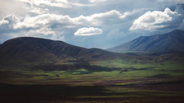 Doğu Afrika 'nın engin savanalarını, akasya ağaçlarını ve dramatik gökyüzünü kaplayan güzel sanatlar. Afrika 'nın vahşi doğasında ebedi güzellik, ruh hali ve kontrastı çağrıştırıyor.