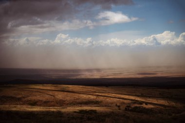 Doğu Afrika 'nın engin savanalarını, akasya ağaçlarını ve dramatik gökyüzünü kaplayan güzel sanatlar. Afrika 'nın vahşi doğasında ebedi güzellik, ruh hali ve kontrastı çağrıştırıyor.