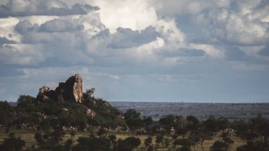 Doğu Afrika 'nın engin savanalarını, akasya ağaçlarını ve dramatik gökyüzünü kaplayan güzel sanatlar. Afrika 'nın vahşi doğasında ebedi güzellik, ruh hali ve kontrastı çağrıştırıyor.
