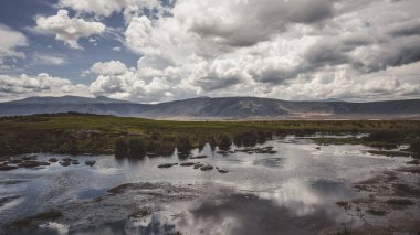 Doğu Afrika 'nın engin savanalarını, akasya ağaçlarını ve dramatik gökyüzünü kaplayan güzel sanatlar. Afrika 'nın vahşi doğasında ebedi güzellik, ruh hali ve kontrastı çağrıştırıyor.