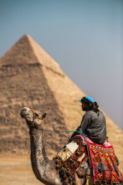 Giza Platosu, Mısır - 14 Şubat 2021 - Arka planda Giza Piramidi 'ni gösteren renkli bir resim ve çölde ön planda devesinin üzerinde oturan yerel bir rehber.