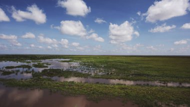 Doğu Afrika 'nın engin savanalarını, akasya ağaçlarını ve dramatik gökyüzünü kaplayan güzel sanat eserleri. Afrika 'nın vahşi doğasında ebedi güzellik, ruh hali ve kontrastı çağrıştırıyor.