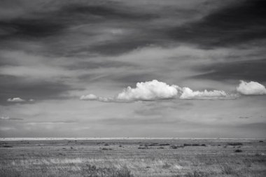 Doğu Afrika 'yı, geniş ovaları, akasya ağaçlarını ve dramatik gökyüzünü kaplayan güzel sanatlar. Afrika 'nın vahşi doğasında ebedi güzellik, ruh hali ve kontrastı çağrıştırıyor.