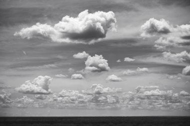 Doğu Afrika 'yı, geniş ovaları, akasya ağaçlarını ve dramatik gökyüzünü kaplayan güzel sanatlar. Afrika 'nın vahşi doğasında ebedi güzellik, ruh hali ve kontrastı çağrıştırıyor.