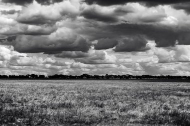 Doğu Afrika 'yı, geniş ovaları, akasya ağaçlarını ve dramatik gökyüzünü kaplayan güzel sanatlar. Afrika 'nın vahşi doğasında ebedi güzellik, ruh hali ve kontrastı çağrıştırıyor.