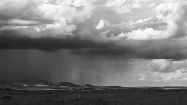 Doğu Afrika 'yı, geniş ovaları, akasya ağaçlarını ve dramatik gökyüzünü kaplayan güzel sanatlar. Afrika 'nın vahşi doğasında ebedi güzellik, ruh hali ve kontrastı çağrıştırıyor.