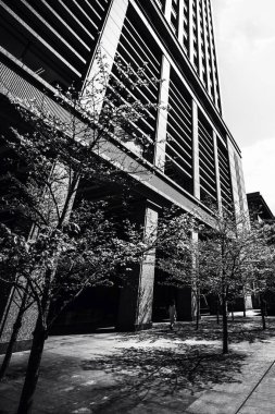 Toyos 'un ufuk çizgisini, modern geometriyi ve minimalist tasarımı, sergilenen yeniliği ve kentsel güzelliği yakalayan güzel sanatlar mimarisi fotoğrafçılığı.