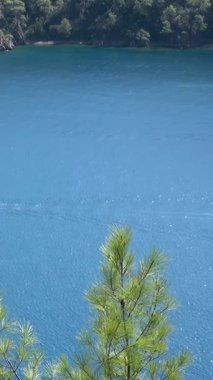 A mesmerizing panorama of the Aegean Sea unfolds, its turquoise waves kissed by sun. Green pines stand sentinel, overlooking the serene shores of Oludeniz, nestled by Fethiye's Babadag Mountain in Turkey.