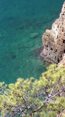 Gök suları Babadag Dağı 'nın altındaki antik kayalıklarla buluşarak, Türkiye' nin Fethiye Oludeniz kıyısının huzur verici güzelliğini ortaya çıkarıyor. Çam dalları bu sakin Ege manzarasını nazikçe çerçeveler..