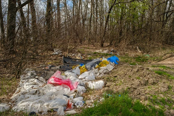 Ormanın yakınındaki yasadışı çöplük..