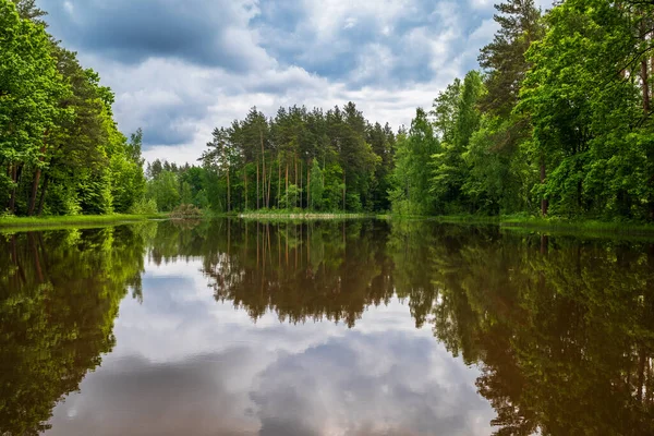 Ormandaki göl fırtına bulutlarının altında..