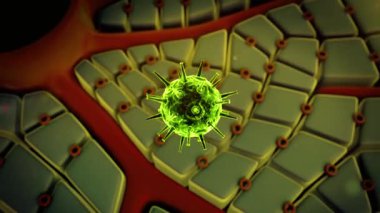 Vücuttaki hücresel yapılara yakın bir virüs parçacığının mikroskobik görüntüsü