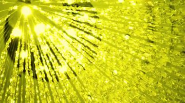 Parlak ışınlar ve kristal benzeri yükselen şekillerden oluşan ışıl ışıl sarı bir zemin. Tasarım ışıltılı, şenlikli ve zarif bir görsel efekt yaratır. Işıltı eklemek için mükemmel.