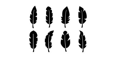 Zarif boho tüyleri asgari estetik tasarımı olan siyah çizgi simgesi demeti. Parmak izi, mücevher, marka ve moda sanat eserleri için ideal..