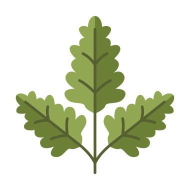 Düz renkli bitki yaprakları aşçılık bitkilerini ve bahçe bitkilerini resmediyor. Gıda görselleri ve organik yaşam tarzı için mükemmel..