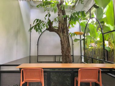 Ağaç ve sandalyeli açık hava yemek alanı.