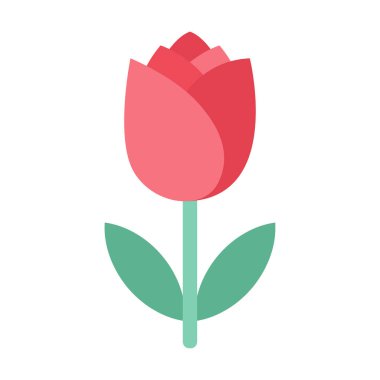 İlkbahar güzelliğini ve tazeliğini sembolize eden pembe lale çiçeğinin zarif bir resmi..