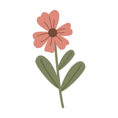 Elle çizilmiş pembe kır çiçeği kök çizimi, rahat Cottagecore tarzı ve kırsal klasik cazibesi, çiçek, botanik, bahçe, mevsimlik ve minimalist tasarım projeleri için ideal..