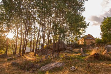 Uzun ağaçlar ve büyük kayalarla çevrili, yumuşak güneş ışığının yaprakların arasından süzüldüğü, küçük taştan bir evin bulunduğu sakin bir manzara.
