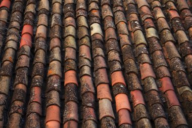 Yosun ve yosunlu, yıpranmış terracotta çatı kiremitlerinin yakın çekimi.