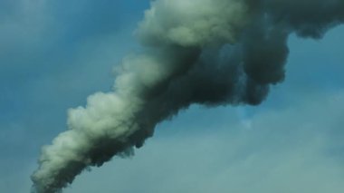 4K 29,97 fps Endüstriyel Buhar Dokuları Yoğun Duman Çerçevede Dalgalanıyor