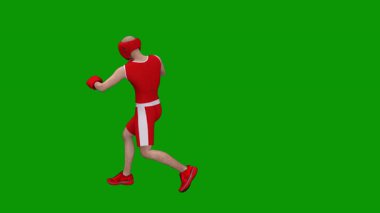 erkek boksör renk arkaplanda