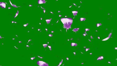 Açık yeşil, siyah ve kırmızı, soyut arkaplanda renkli daireler var. Metin için alanı olan tasarım şablonu