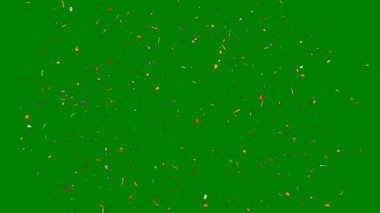 Beyaz arka plan üzerinde izole yeşil Noel ağacı.