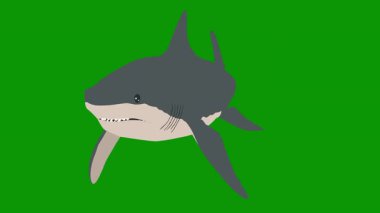 Köpekbalığı vektör simgesi. düz çizim logosu.