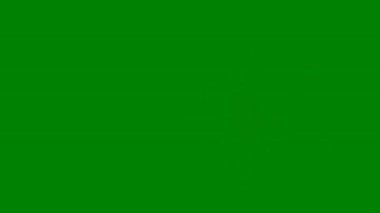 yeşil yapraklar arka plan, vektör illüstrasyonu