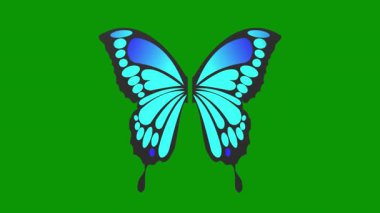Yeşil arkaplanda mavi ve yeşil kelebek simgesi