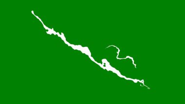 Yeşil yapraklı arka plan. Yeşil yaprak. yeşil yaprak arkaplanı.