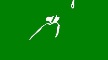 soyut arkaplanın yeşil rengi