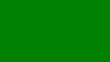 fantezi kaotik renkli fraktal desen. Soyut fraktal şekiller. 3d resimleme arkaplanı veya duvar kağıdı oluşturuluyor.